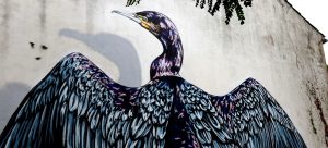 street art la teste cormoran