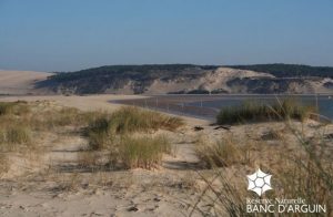 sepanso annonce conservateur banc d arguin