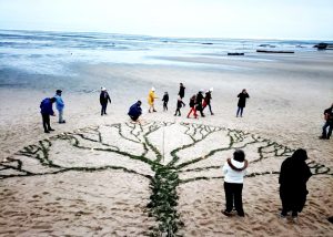 arbre laisse de mer lagarde