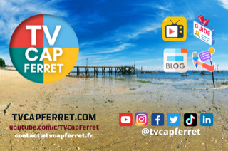 1TV Cap Ferret