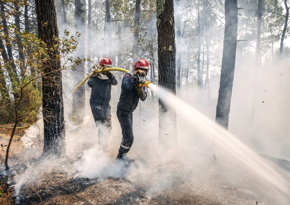 Sentier En Bois Et Banc En Bois Dans Le Parc De La Teste-de-buch Dans Le  Sud-ouest De La France