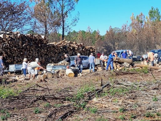 Bassin d'Arcachon : du bois de chauffage à disposition des usagers à La  Teste-de-Buch